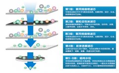 純化水設(shè)備主要有哪些功能？純化水設(shè)備功能介紹